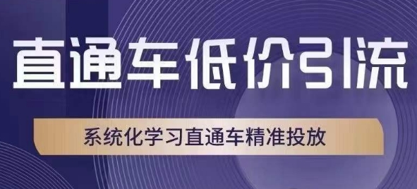 直通车低价引流课，系统化学习直通车精准投放-沐风资源库
