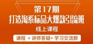 南掌柜-第17期打造淘系标品大爆款，5天线上课-沐风资源库