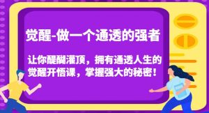 觉醒-做一个通透的强者，让你醍醐灌顶，拥有通透人生的觉醒开悟课，掌握强大的秘密！-沐风资源库