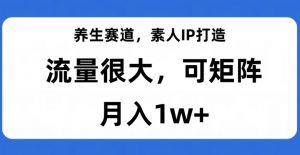 养生赛道，素人IP打造，流量很大，可矩阵，月入1w+【揭秘】-沐风资源库