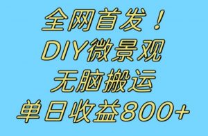 全网首发冷门赛道！DIY微景观，无脑搬运视频，日收益800+【揭秘】-沐风资源库
