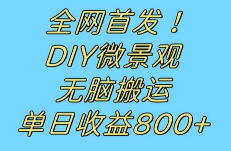 全网首发冷门赛道！DIY微景观，无脑搬运视频，日收益800+【揭秘】-沐风资源库
