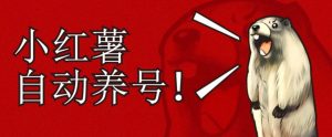 小红书养号秘籍，如何自动涨粉清晰系统标签打造高权重账号【揭秘】-沐风资源库