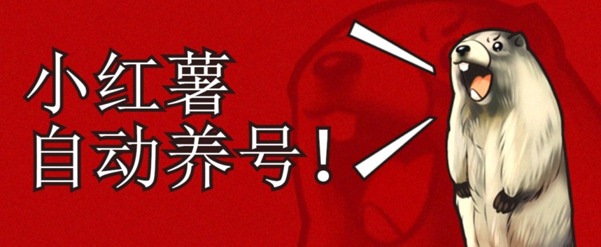 小红书养号秘籍，如何自动涨粉清晰系统标签打造高权重账号【揭秘】-沐风资源库