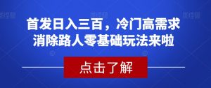 首发日入三百，冷门高需求消除路人零基础玩法来啦【揭秘】-沐风资源库