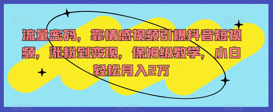 流量密码，靠情感视频引爆抖音短视频，涨粉到变现，保姆级教学，小白轻松月入2万【揭秘】-沐风资源库