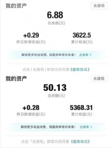 得物视频带货项目，矩阵操作，月入过万的蓝海项目-沐风资源库