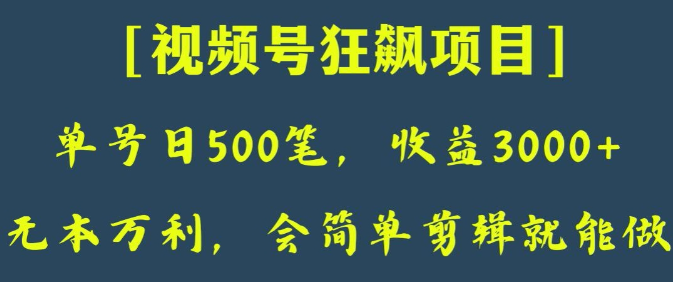 日收款500笔，纯利润3000+，视频号狂飙项目，会简单剪辑就能做【揭秘】-沐风资源库