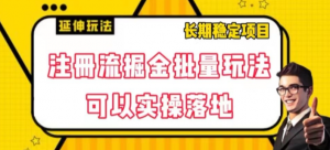 注册流掘金批量玩法，可以实操落地【揭秘】-沐风资源库