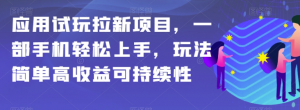 应用试玩拉新项目，一部手机轻松上手，玩法简单高收益可持续性【揭秘】-沐风资源库