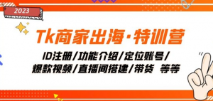Tk商家出海·特训营：ID注册/功能介绍/定位账号/爆款视频/直播间搭建/带货-沐风资源库