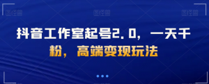 抖音工作室起号2.0，一天千粉，高端变现玩法【揭秘】-沐风资源库