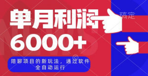 陪聊项目的新玩法，通过软件全自动运行，单月利润6000+【揭秘】-沐风资源库