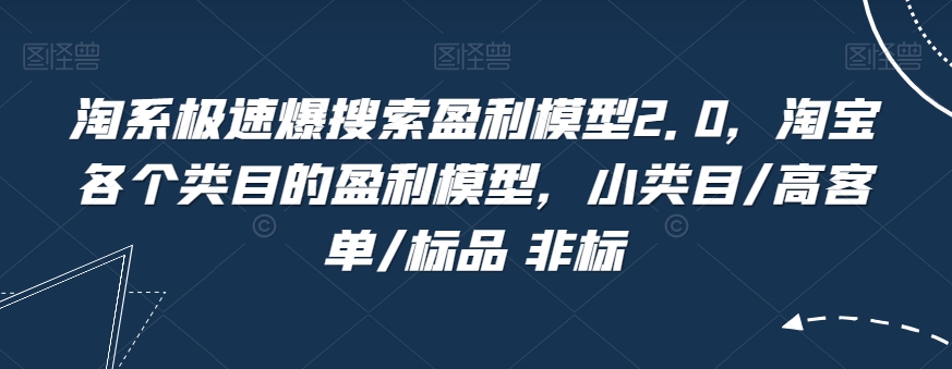 淘系极速爆搜索盈利模型2.0，淘宝各个类目的盈利模型，小类目/高客单/标品 非标-沐风资源库