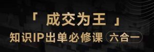 抖音知识IP直播登顶营（六合一），​三倍流量提升秘诀，七步卖课实操演示，内容爆款必修指南-沐风资源库