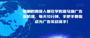聪明的跨境人都在学的亚马逊广告高阶课，每天10分钟，手把手教你成为广告实战高手！-沐风资源库