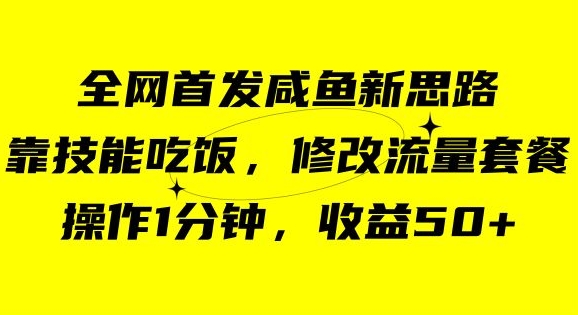 咸鱼冷门新玩法，靠“技能吃饭”，修改流量套餐，操作1分钟，收益50【揭秘】-沐风资源库