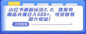小红书最新玩法2.0，靠发布精品头像日入500+，可多账号放大收益！【揭秘】-沐风资源库