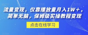 流量变现，仅靠播放量月入1W＋，简单无脑，保姆级实操教程【揭秘】-沐风资源库