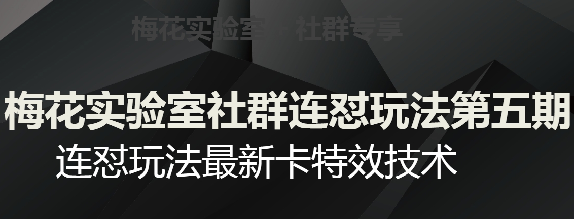 梅花实验室社群连怼玩法第五期，视频号连怼玩法最新卡特效技术-沐风资源库