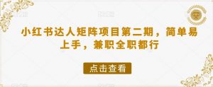 小红书达人矩阵项目第二期，简单易上手，兼职全职都行-沐风资源库