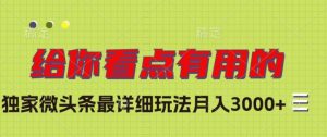 独家微头条最详细玩法，月入3000+【揭秘】-沐风资源库