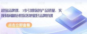 超级品牌课，3步引爆你的产品销量，实现利润翻倍教你落地做好品牌的课-沐风资源库