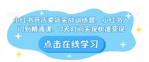 小红书开店卖货实战训练营，小红书入门到精通课，7天时间实现快速变现-沐风资源库