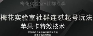 梅花实验室社群视频号连怼起号玩法，最新苹果卡特效技术-沐风资源库