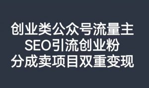 创业类公众号流量主，SEO引流创业粉，分成卖项目双重变现【揭秘】-沐风资源库