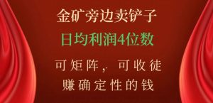 金矿旁边卖铲子，赚确定性的钱，可矩阵，可收徒，日均利润4位数【揭秘】-沐风资源库