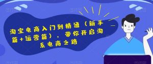 淘宝电商入门到精通（新手篇+运营篇），带你开启淘系电商之路-沐风资源库