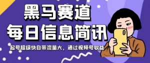 黑马赛道每日信息简讯，起号超级快自带流量大，通过视频号收益【揭秘】-沐风资源库