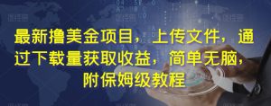 最新撸美金项目，上传文件，通过下载量获取收益，简单无脑，附保姆级教程【揭秘】-沐风资源库