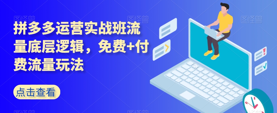 拼多多运营实战班流量底层逻辑，免费+付费流量玩法-沐风资源库