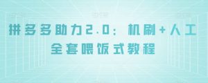 拼多多助力2.0：机刷+人工全套喂饭式教程【揭秘】-沐风资源库