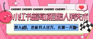 小红书蓝海项目路人消失术，帮人p图，也能月入过万，实测一天300+【揭秘】-沐风资源库
