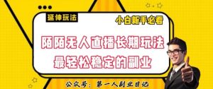 陌陌无人直播长期玩法，轻松稳定的副业【揭秘】-沐风资源库