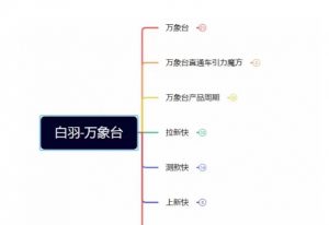 白羽·直引万搜索全篇，从0-1，多个类目实操经验总结付费-沐风资源库