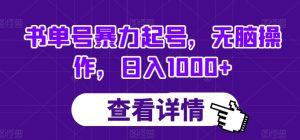 书单号暴力起号，无脑操作，日入1000+【揭秘】-沐风资源库