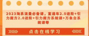 023淘系流量必备课，直通车2.0进阶+引力魔方2.0进阶+引力魔方系统课+万象台系统课等-沐风资源库