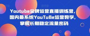 Youtube金牌运营直播训练营，国内最系统YouTuBe运营教学，掌握长期稳定流量密码-沐风资源库