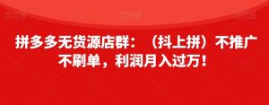拼多多无货源店群：（抖上拼）不推广不刷单，利润月入过万！【揭秘】-沐风资源库