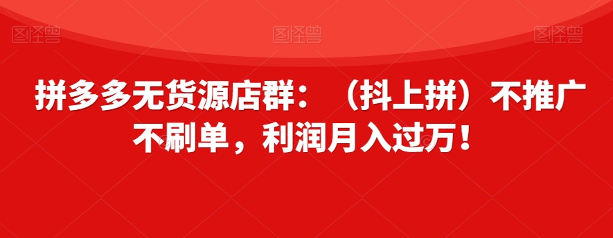 拼多多无货源店群：（抖上拼）不推广不刷单，利润月入过万！【揭秘】-沐风资源库