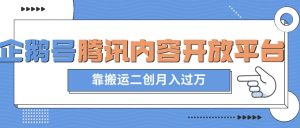 最新蓝海项目，企鹅号腾讯内容开放平台项目，靠搬运二创月入过万【揭秘】-沐风资源库