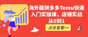海外版拼多多Temu快速入门实操课，店铺实战从0到1-沐风资源库