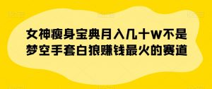 女神瘦身宝典月入几十W不是梦空手套白狼赚钱最火的赛道【揭秘】-沐风资源库