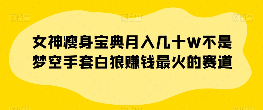 女神瘦身宝典月入几十W不是梦空手套白狼赚钱最火的赛道【揭秘】-沐风资源库