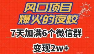 全网首发，爆火的夜校，7天加满6个微信群，变现2w+【揭秘】-沐风资源库