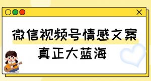 视频号情感文案，真正大蓝海，简单操作，新手小白轻松上手（教程+素材）【揭秘】-沐风资源库